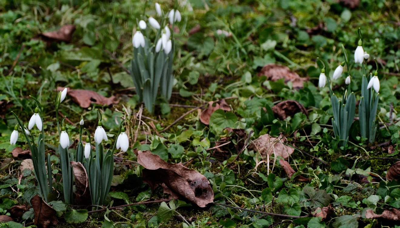 Rendkívüli hidegre és tavaszias melegre is számíthatunk februárban