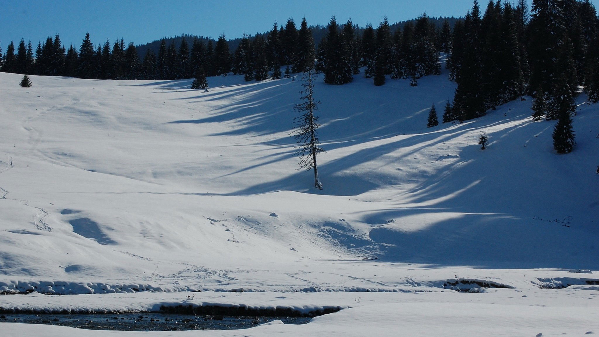 Programajánló: Nagyvárad és a megye eseményei egy helyen!