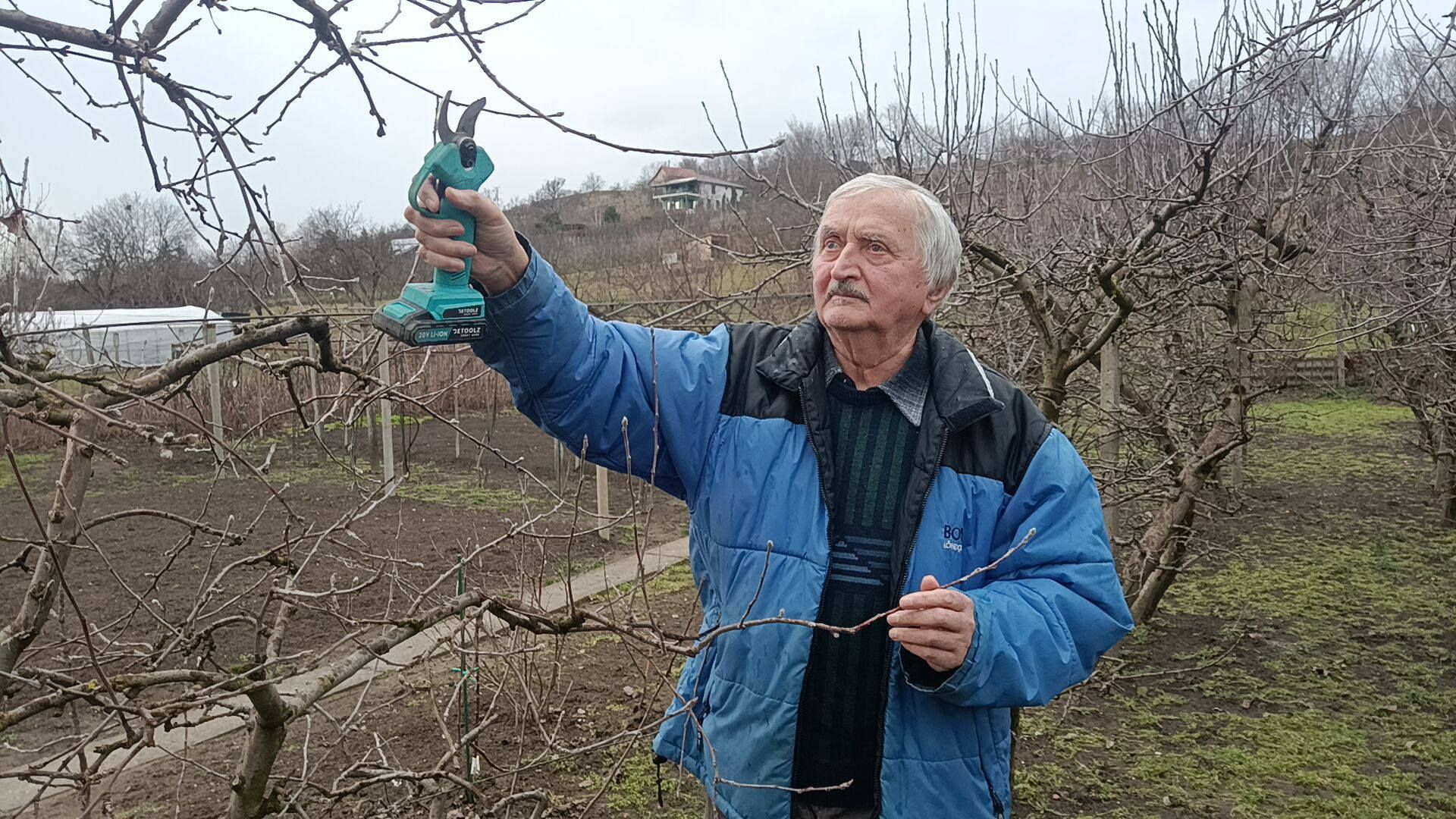 Kerti munkák: mit tehetünk februárban a bő termésért?