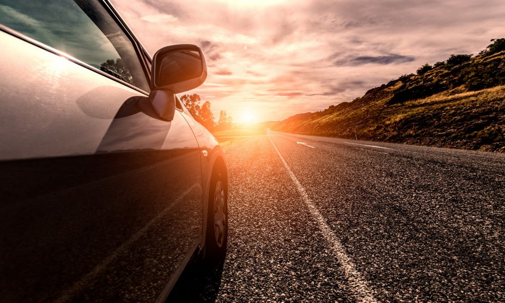 Mindennapos látvány: elgázolt állatok az utakon és az utak mentén