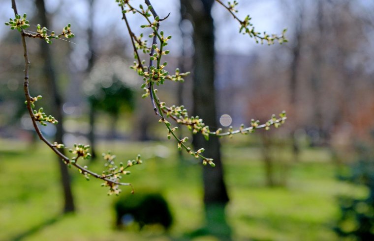 Többnyire napsütéses idő várható, a hét második felében esőre is számíthatunk
