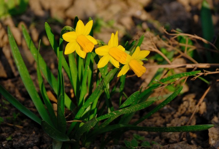 Továbbra is napsütéses idő várható, csupán lágy szellőre lehet számítani
