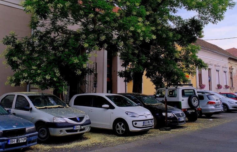 Akadozik a Parking Oradea platform, de a kifizetett parkolóhelyeket nem veszik el
