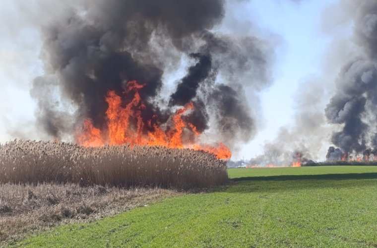 Emberéletet is követelt a tarlótűz Bihar megyében