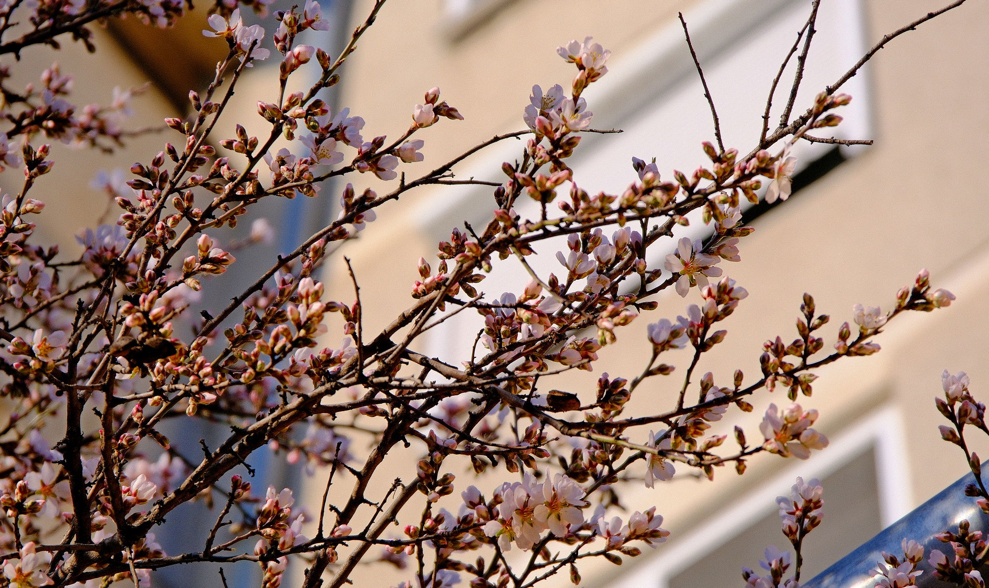 Meleg idő és kevés csapadék várható a következő két hétben