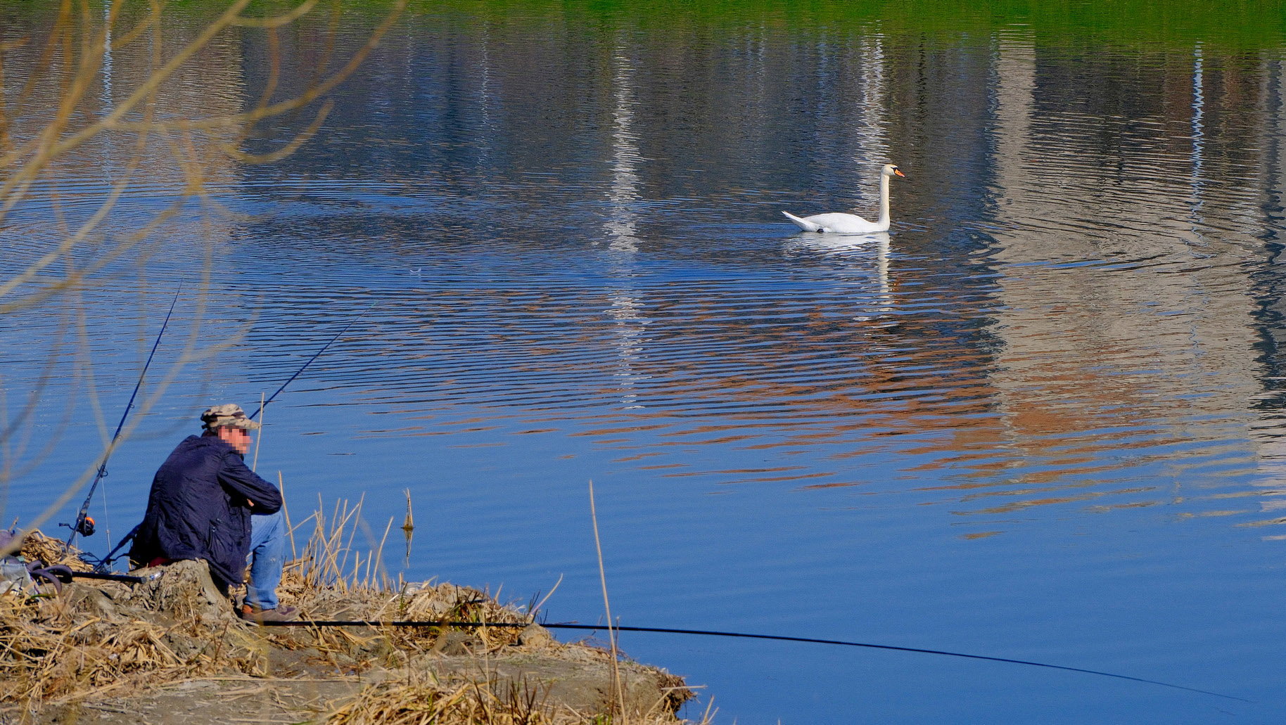 Műanyag szennyezte folyónak minősül a Sebes-Körös, halakat vizsgáltak
