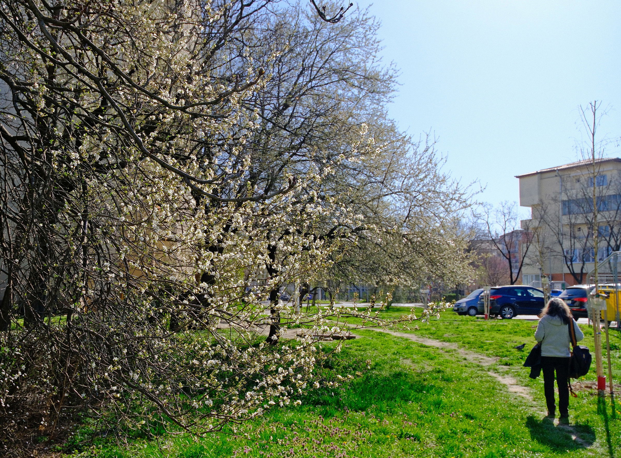 Szeles időjárás várható vasárnap estig az ország több régiójában