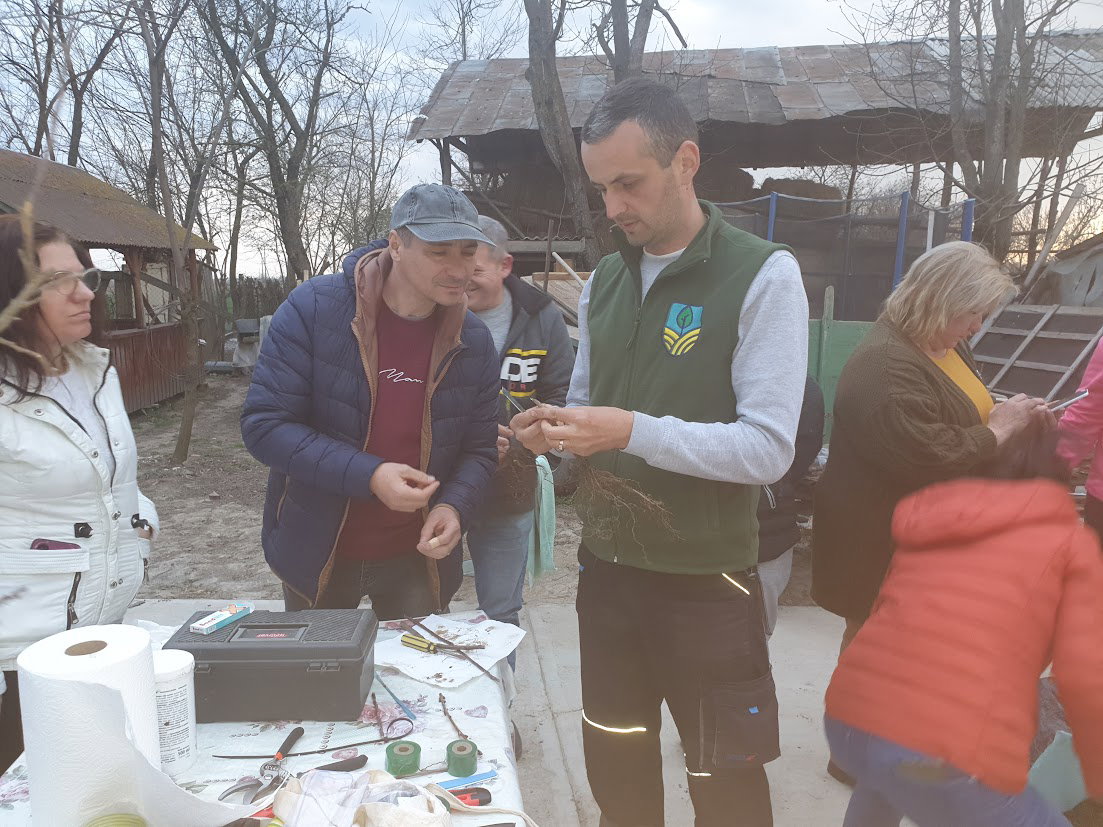 Gyümölcsfaoltó nap Nagyszalontán: ízek nagyapáink kertjéből | FOTÓK és VIDEÓK!
