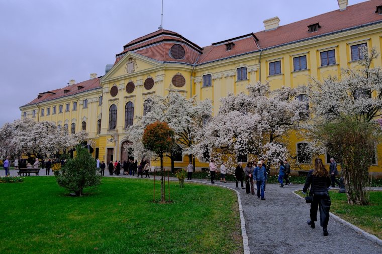 Hajláspont: képzőművészeti kiállítás nyílik a püspöki palotában