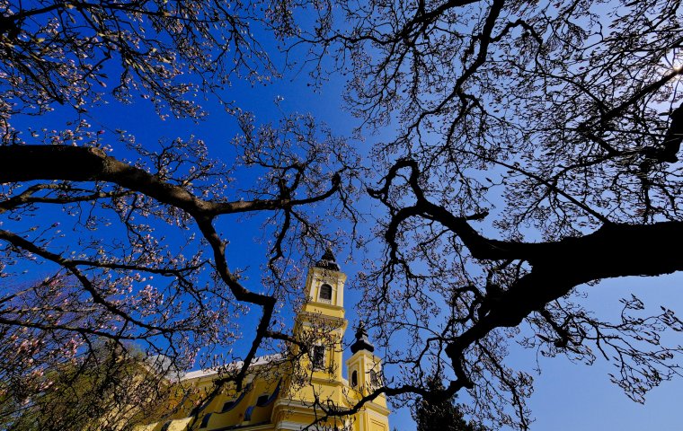 A nagyváradi római katolikus székesegyház istentiszteleti rendje 2026. nagyhetében és húsvét ünnepén