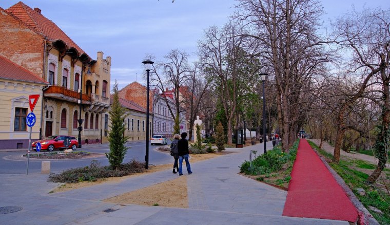 Kiderült, miért zöld a föld a felújított váradi parkban