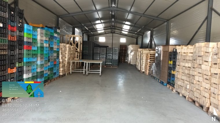 Ellenőrizték a szarvasgomba-bizniszt: Bihar megyében egymillió lejes bírságot szabtak ki