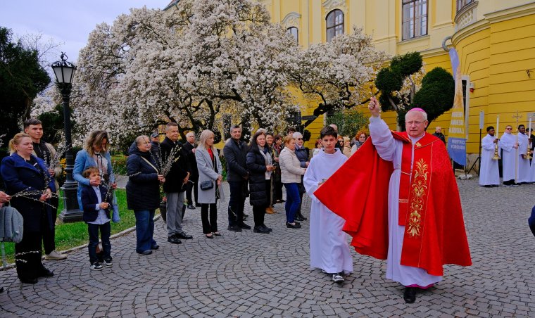 Elkezdődött a nagyhét: barkát szenteltek a nagyváradi római katolikus püspöki palota előtt | FOTÓK és VIDEÓK