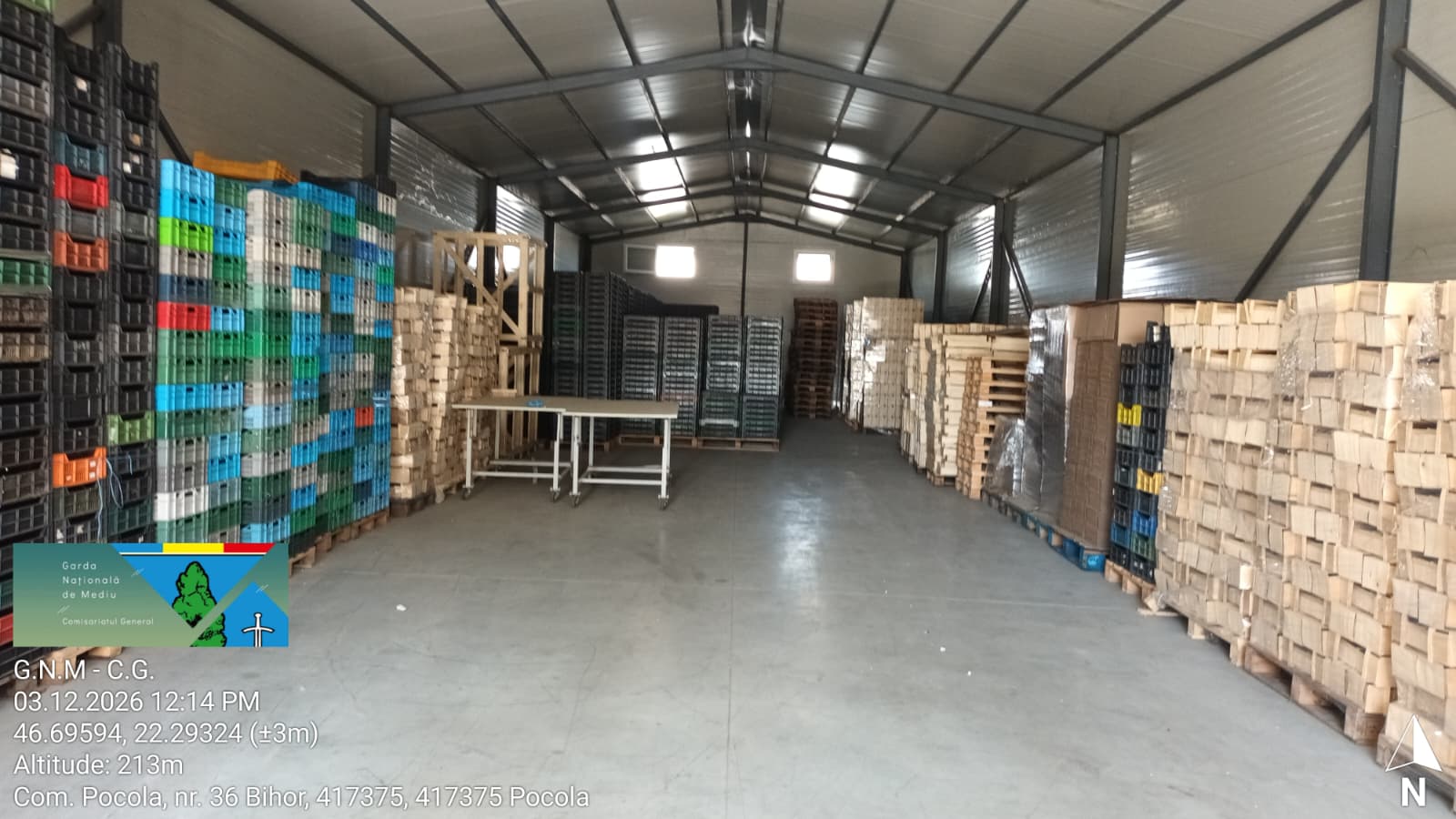 Ellenőrizték a szarvasgomba-bizniszt: Bihar megyében egymillió lejes bírságot szabtak ki