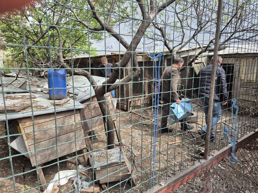 Több elhullott állatot találtak a premontrei rendház udvarán Fejes Rudolf Anzelm apát kilakoltatásakor