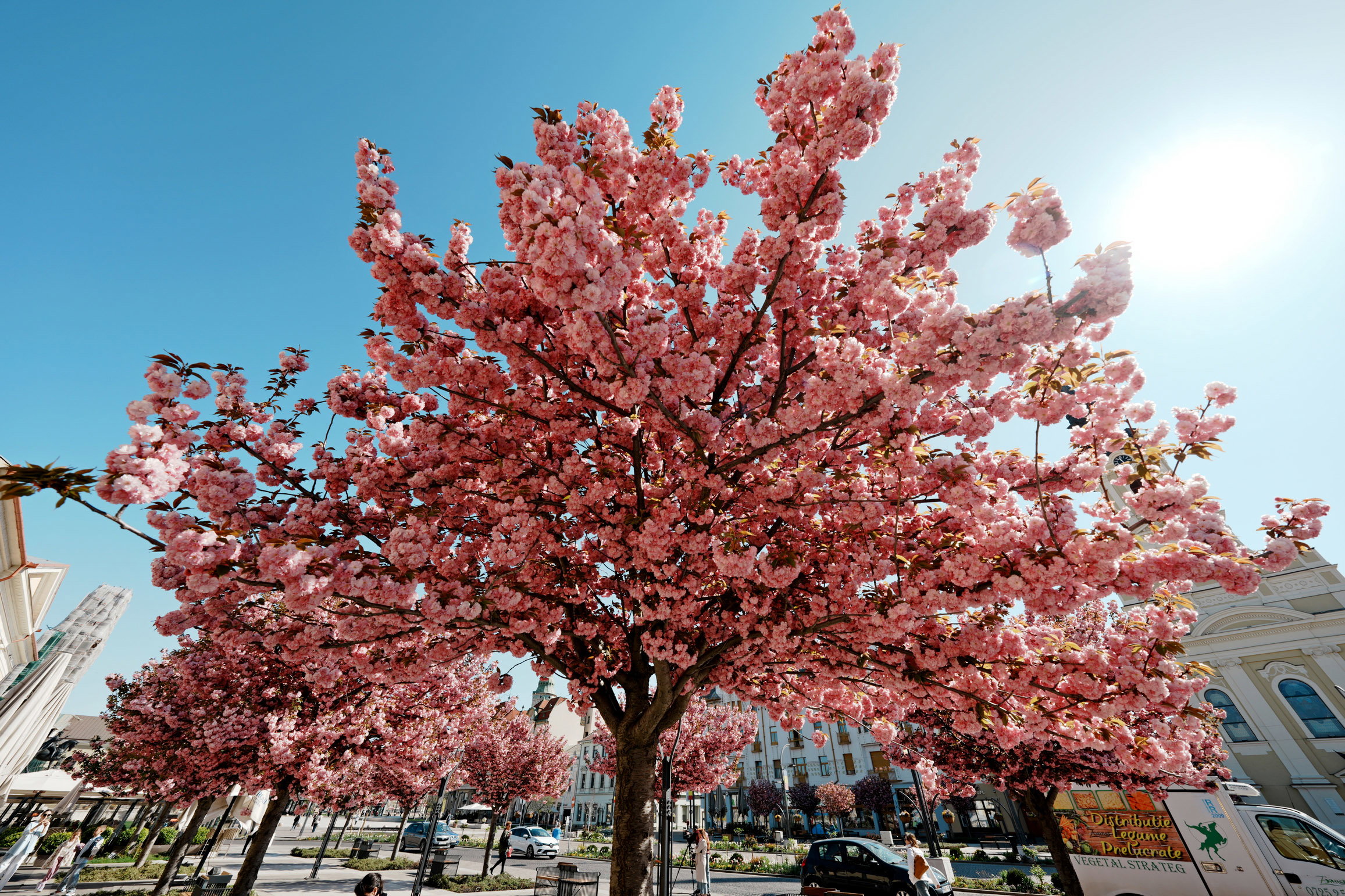 Hamarosan vége a fagyos éjszakáknak, a megszokottnál melegebb lesz a következő hetekben