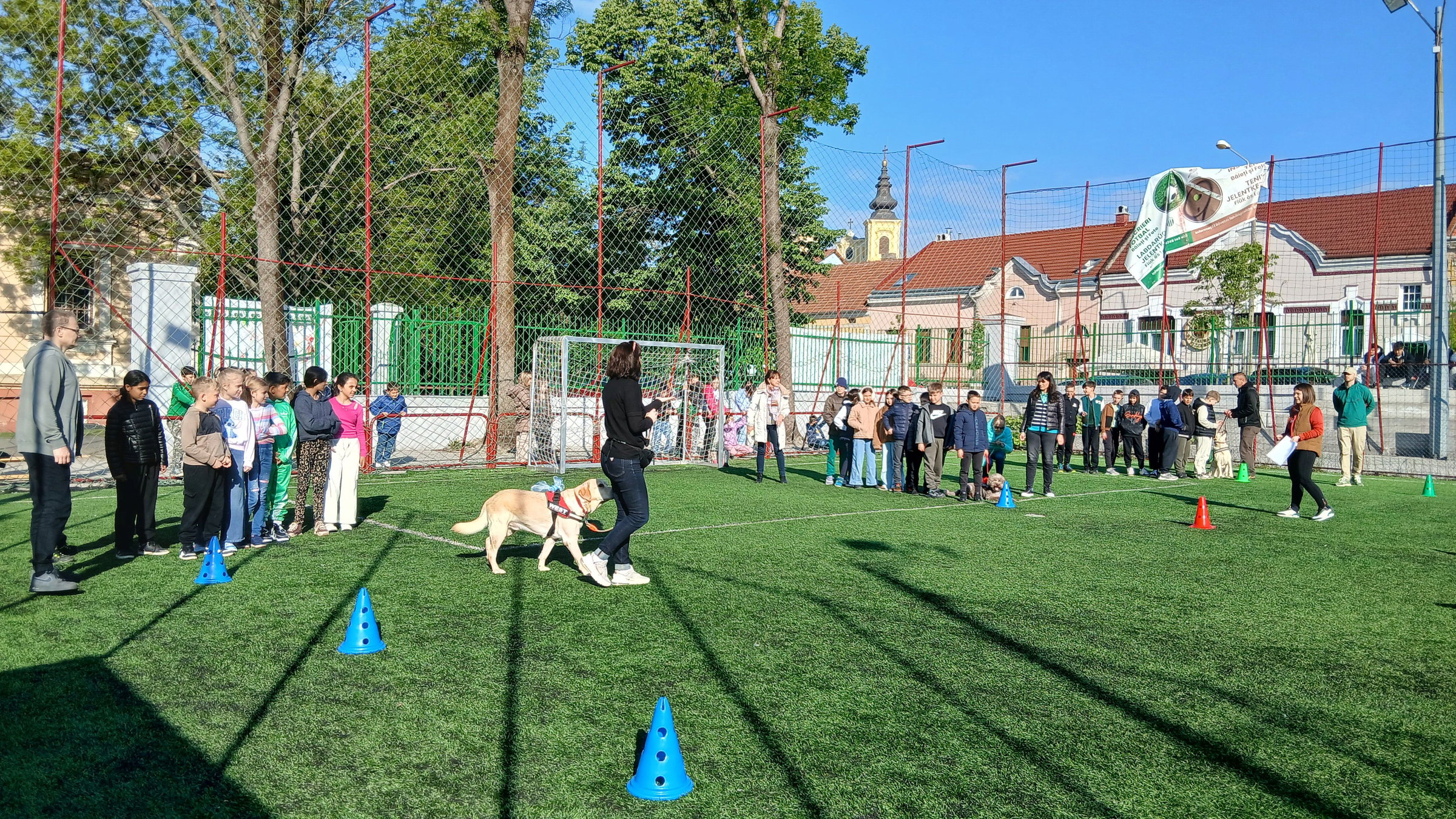 Öröm, élmény és összetartozás a Kutyával asszisztált terápia elnevezésű versenyen
