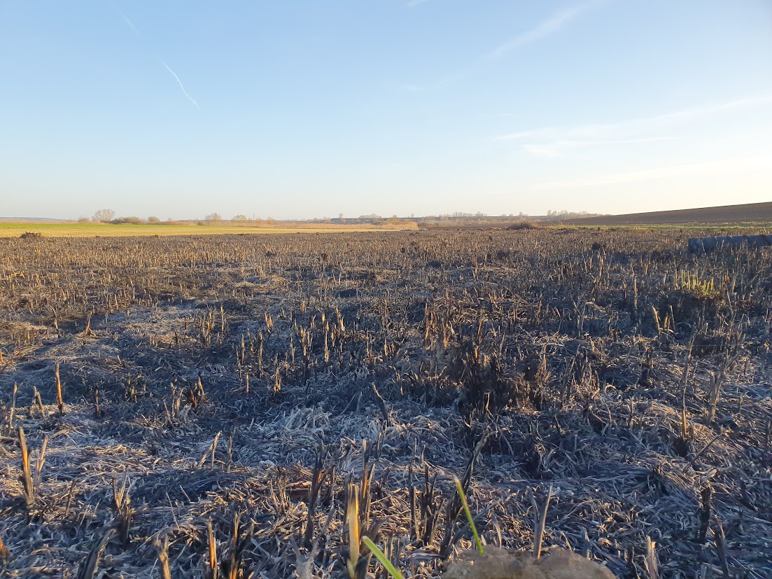 Tarlótól a kerti avarig: több hatóság is büntetheti az égetést