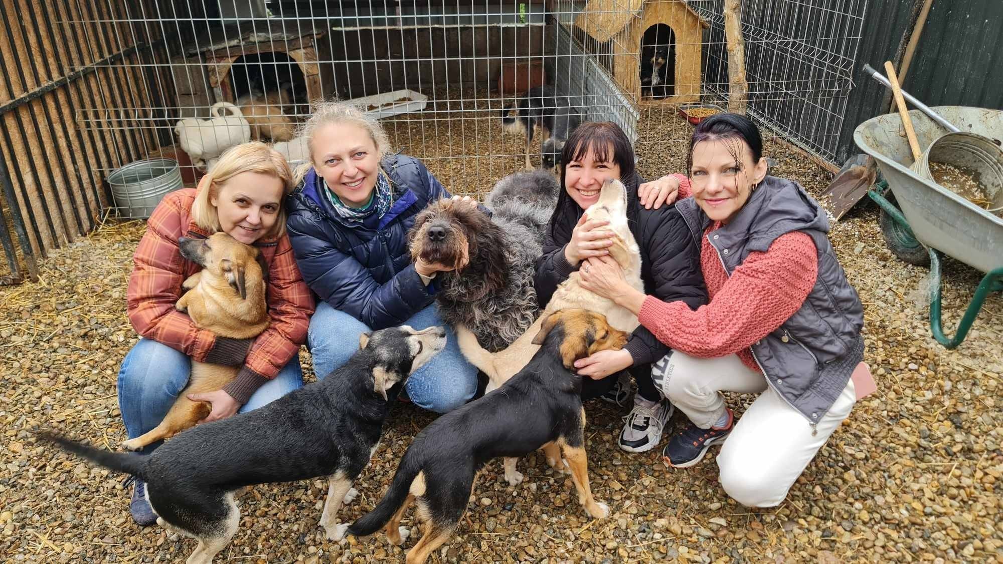 „Az adójuk felajánlása életeket menthet!”