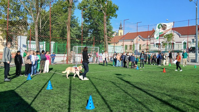 Öröm, élmény és összetartozás a Kutyával asszisztált terápia elnevezésű versenyen