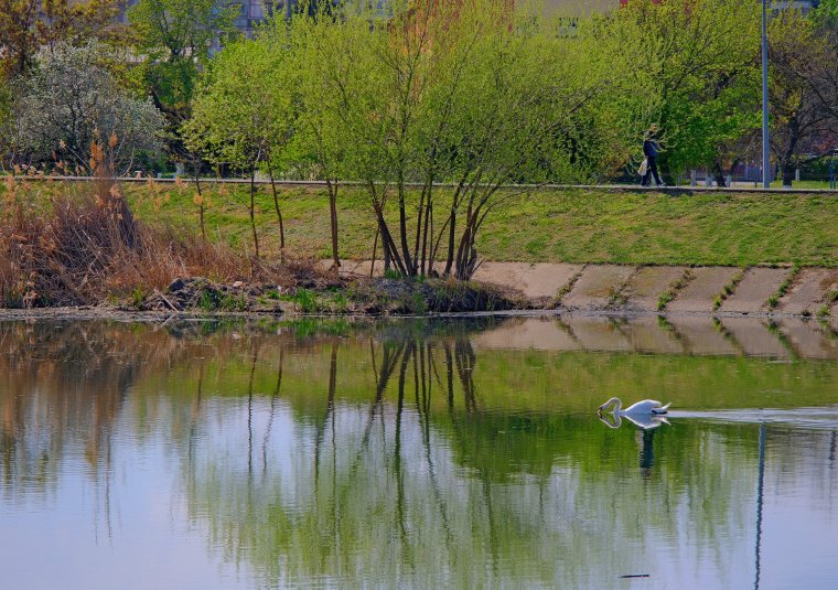 Május 1. a városban: számos lehetőséget kínál Várad | GALÉRIA
