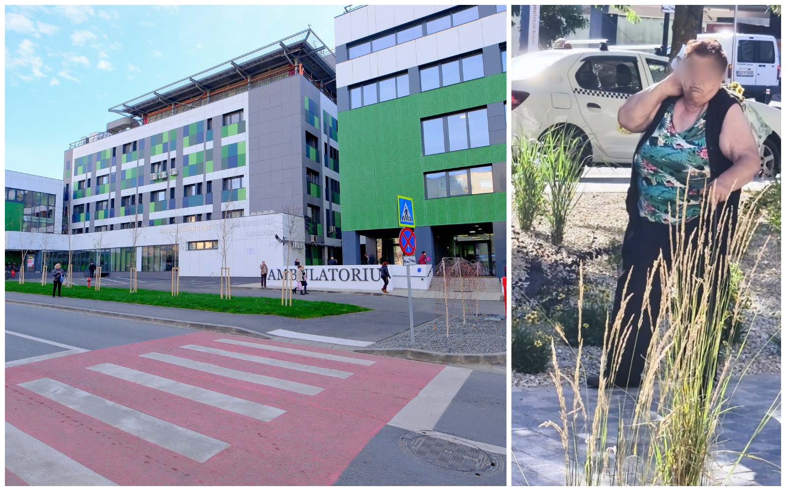 Újra lecsapott a „virágtolvaj”: már negyedszer tépett ki a növényeket a megyei kórház előtti térről