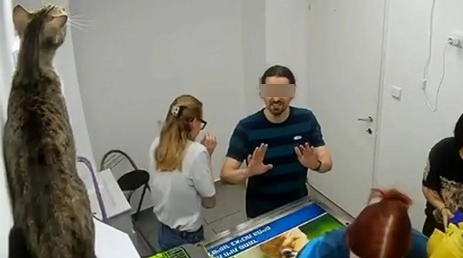 Tört-zúzott egy megrémült macska egy állatorvosi rendelőben
