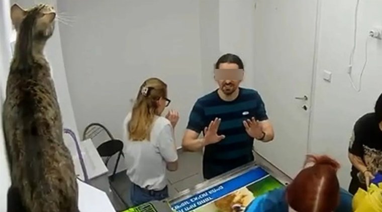 Tört-zúzott egy megrémült macska egy állatorvosi rendelőben