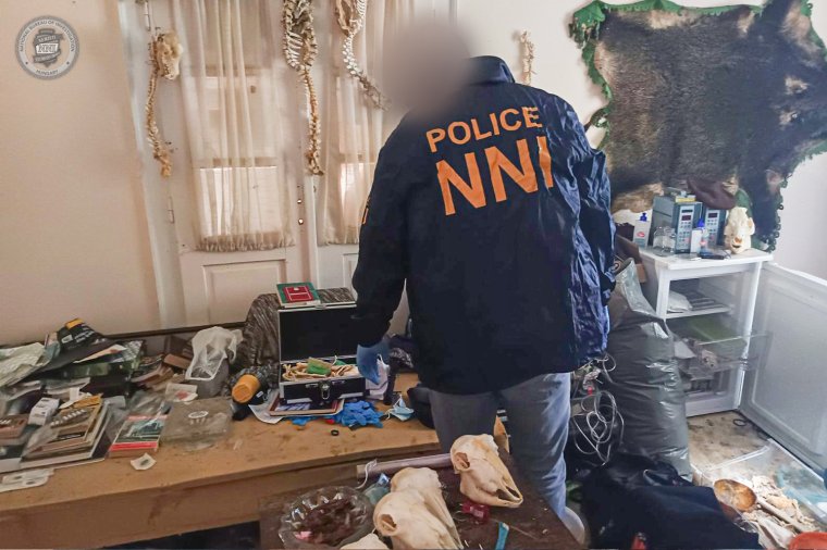 Sokkoló ügy: koponyákat és más emberi maradványokat gyűjtött egy beteghordozó