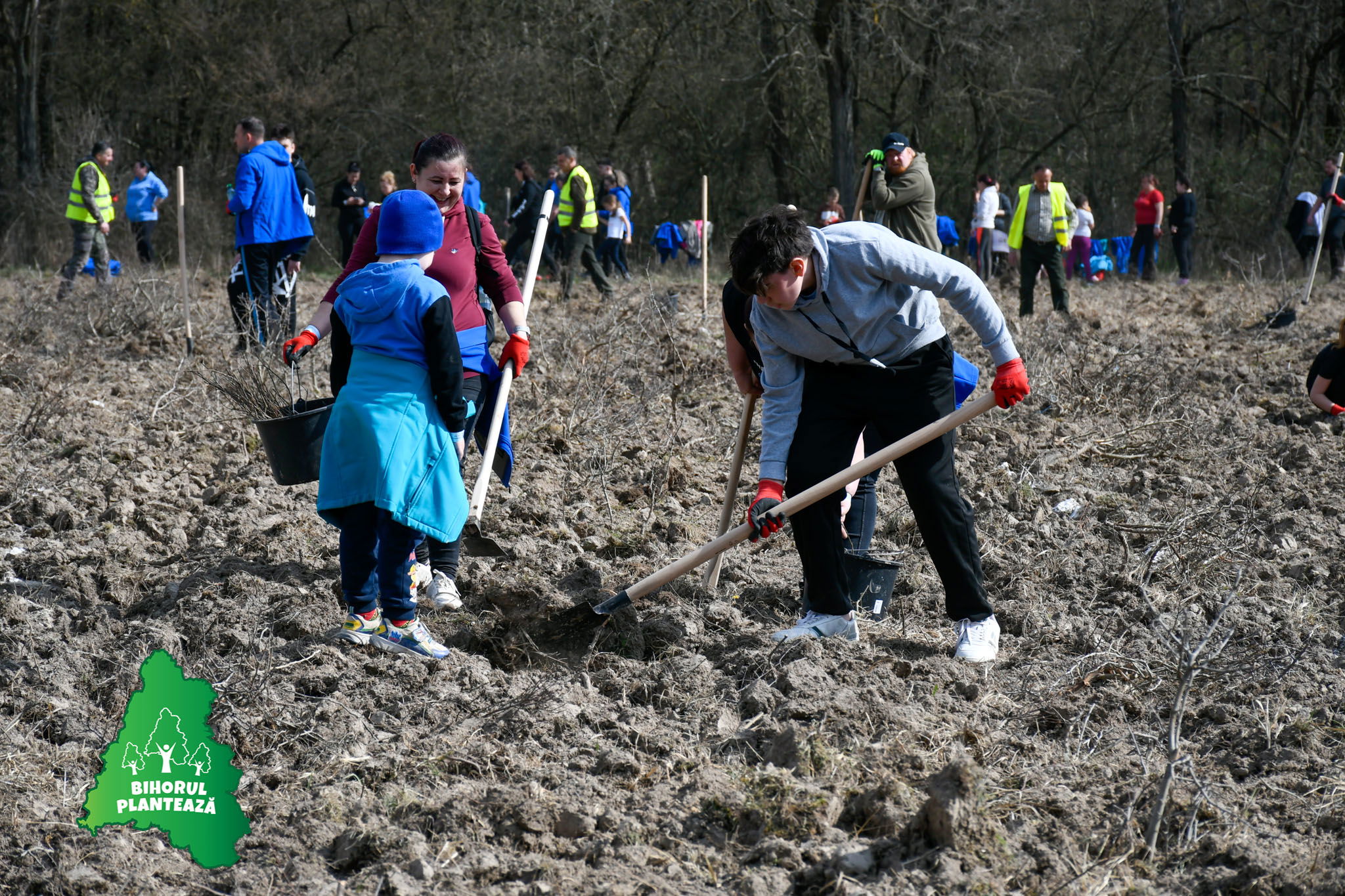 Huszonötezer facsemetét ültettek el Váradpósán, több száz gyermek és fiatal is részt vett az akcióban