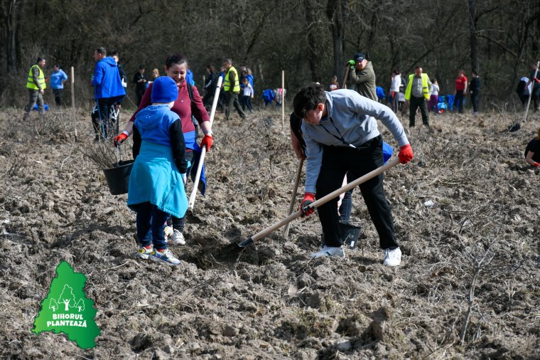 Huszonötezer facsemetét ültettek el Váradpósán, több száz gyermek és fiatal is részt vett az akcióban