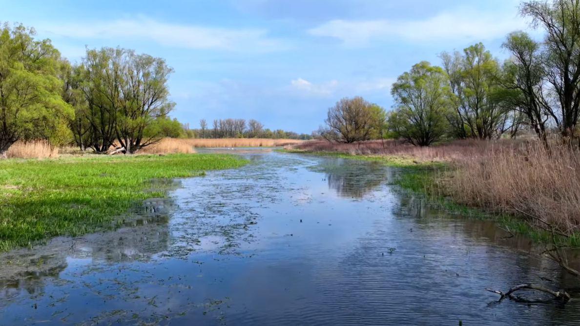 Film készül az Érmellék eltűnő vízi világáról | VIDEÓ