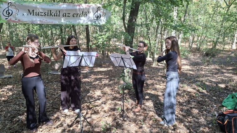 A fenntarthatóságért is „muzsikált az erdő” Szentjobbon | VIDEÓ