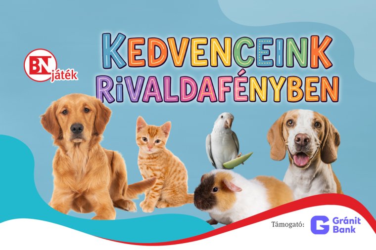 Mutasd meg kedvencedet a Bihari Napló fotópályázatán!