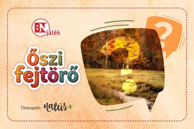 Tematikus fejtörővel hangolódhatunk az őszre a Bihari Naplóval