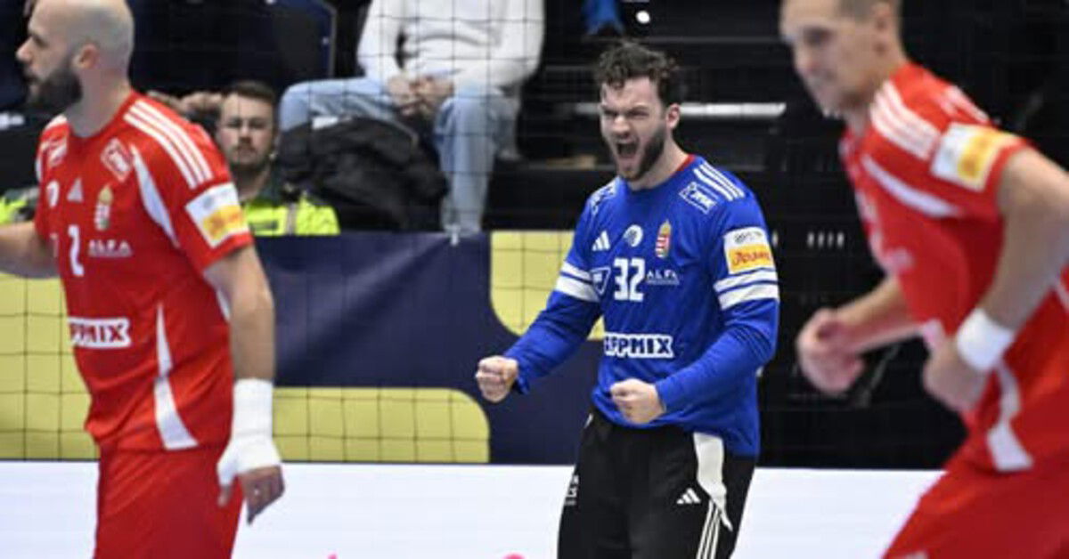 Férfi kézi-Eb: Palasics őrületbe kergette a lengyeleket
