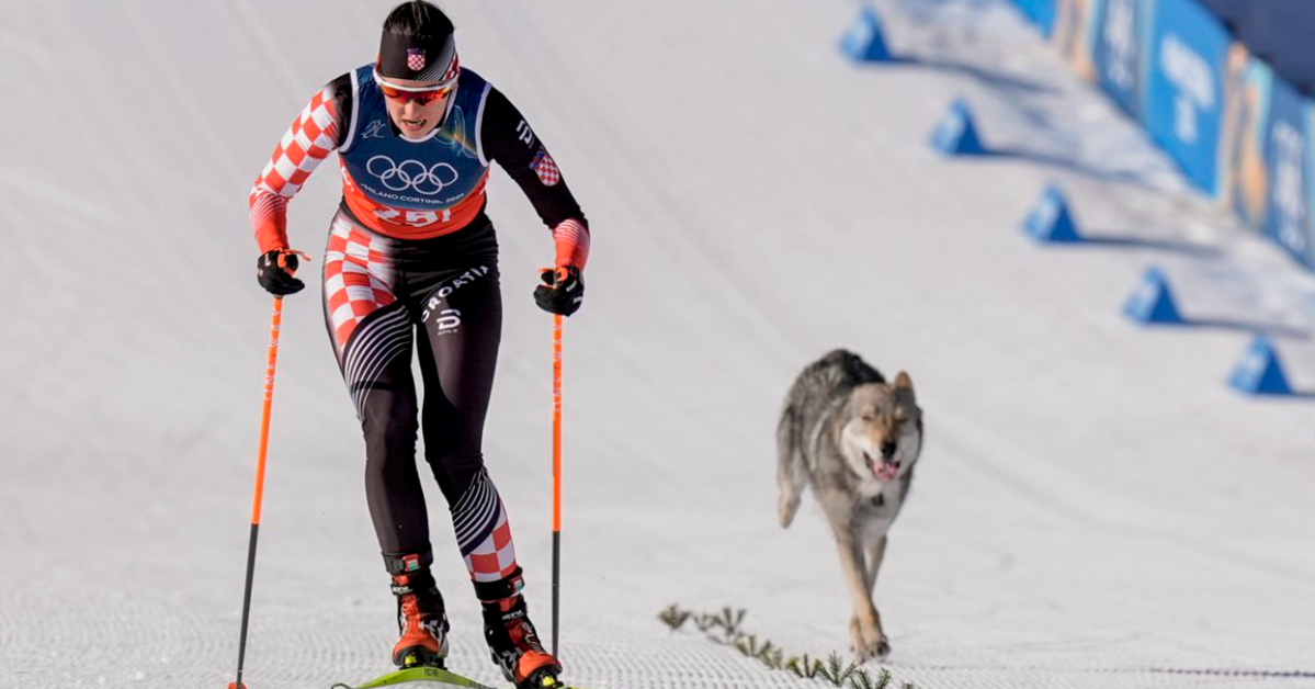 Egy kutya lett a nap sztárja a téli olimpián | VIDEÓ!