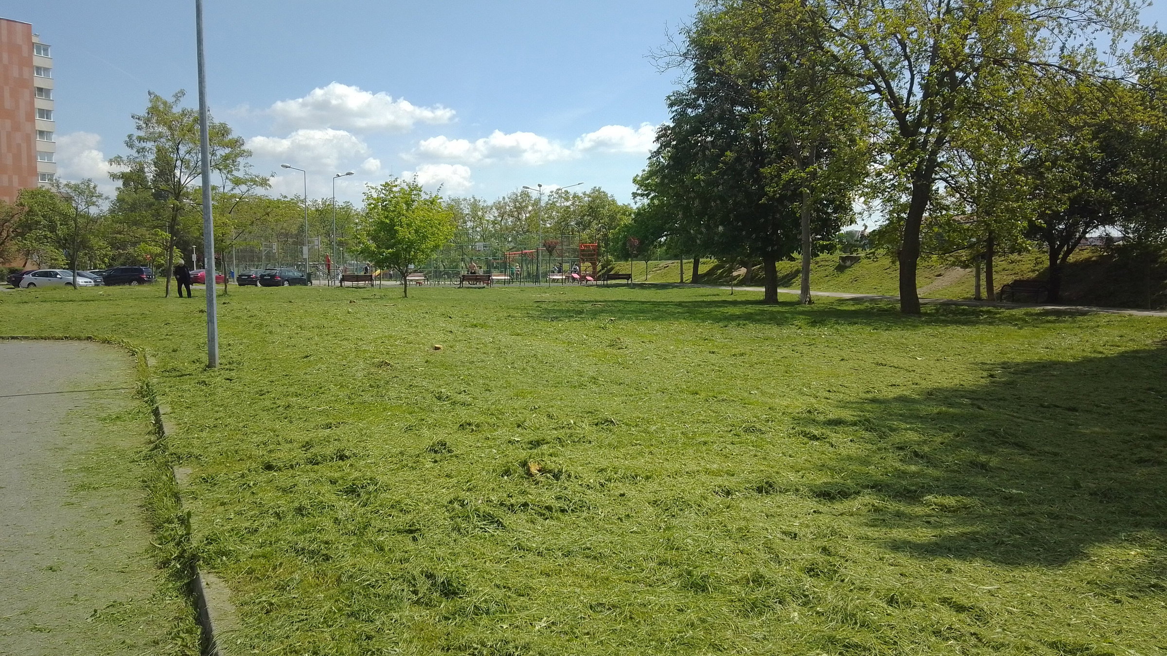 Több mint negyven fát vágtak ki