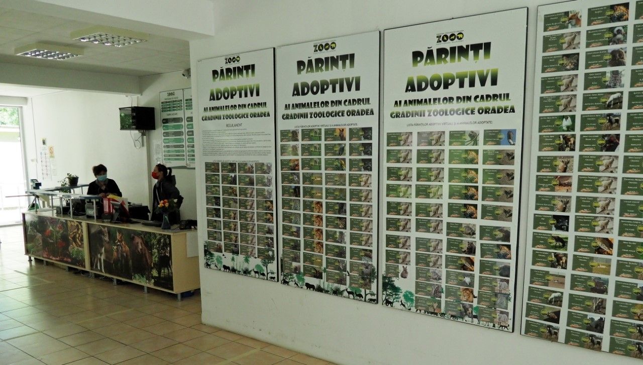 Örökbefogadó szülők napja