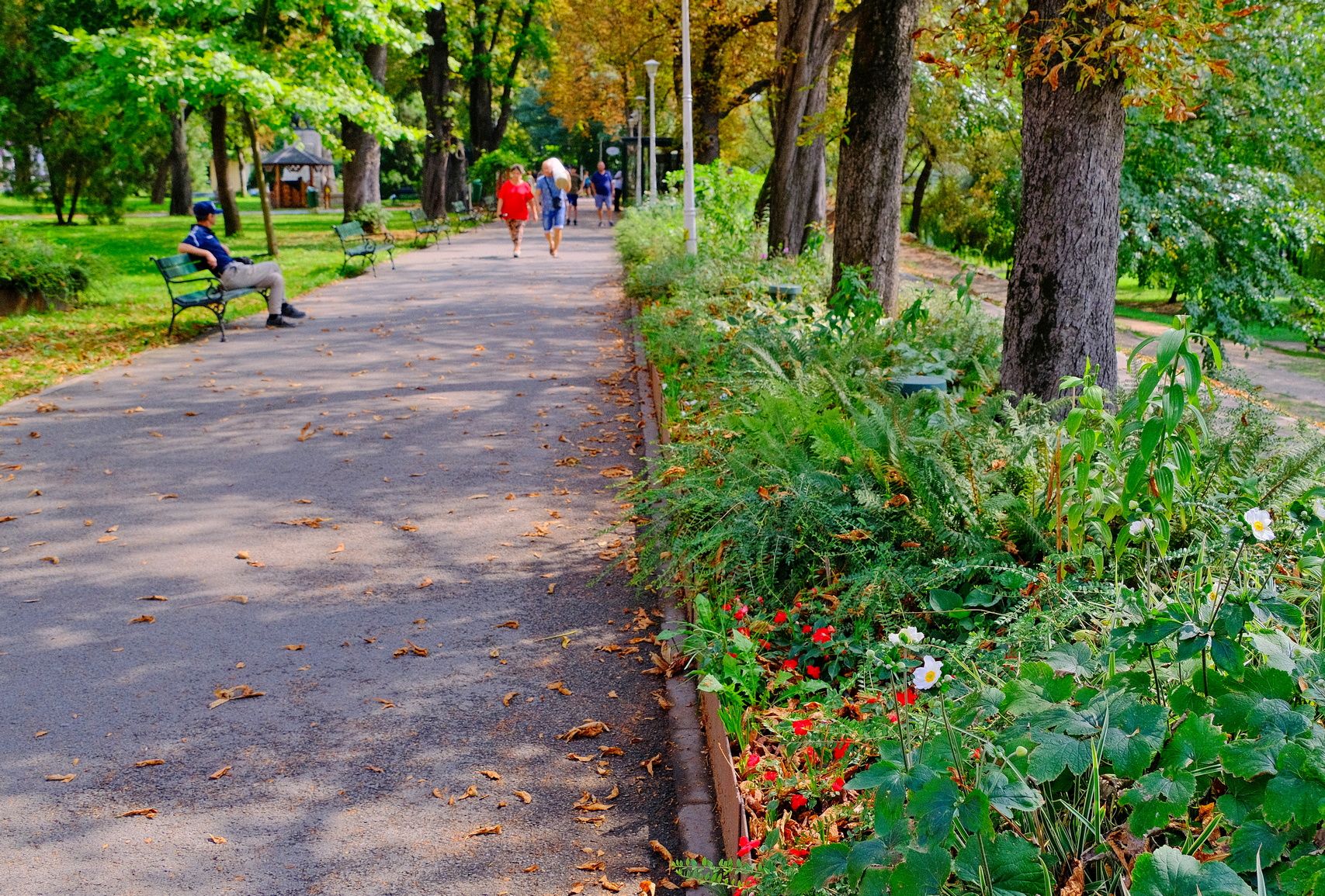 Négy váradi park fog megújulni