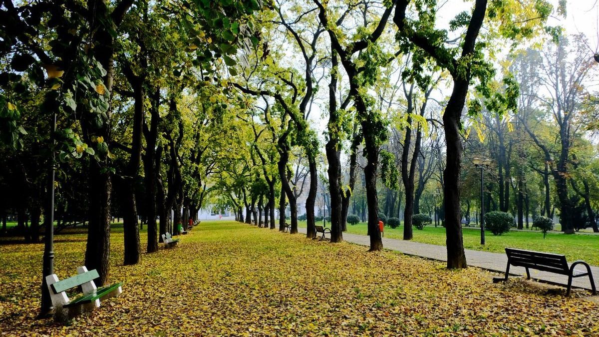 Holtan találtak egy férfit a váradi December 1. parkban