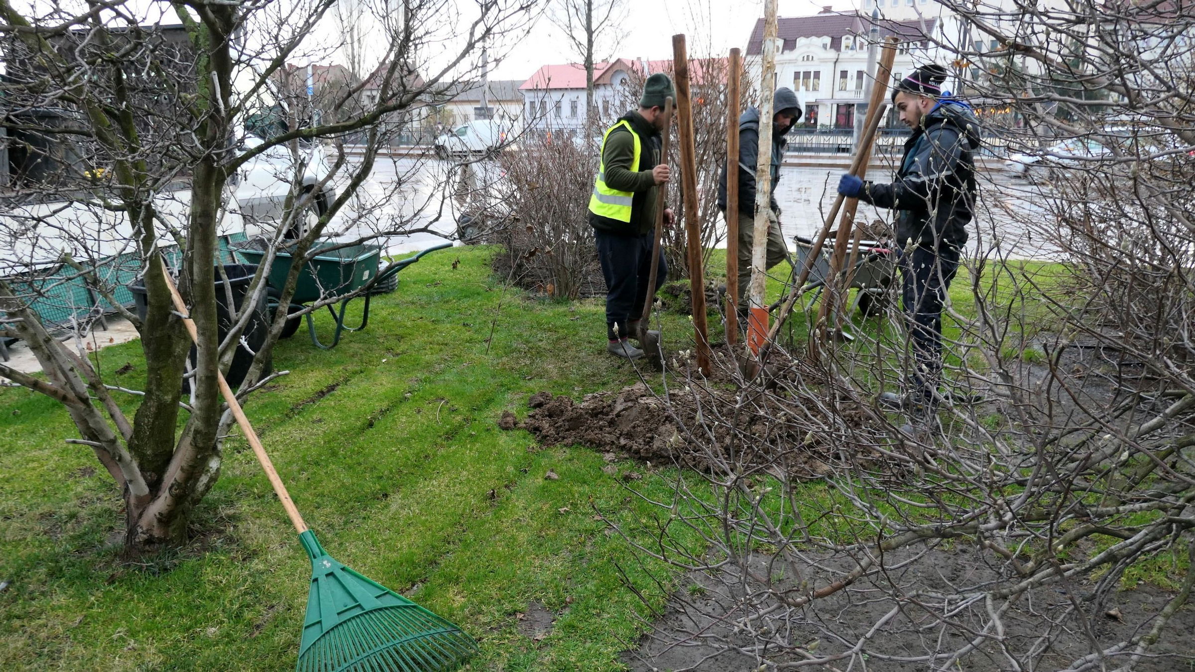 Ültetik a fákat a Szent László téren