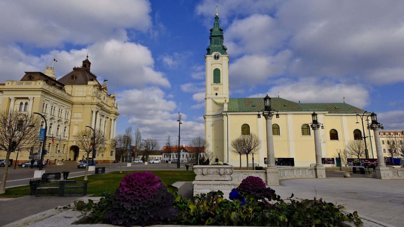 Nagyméretű fákat ültetnek a Szent László térre