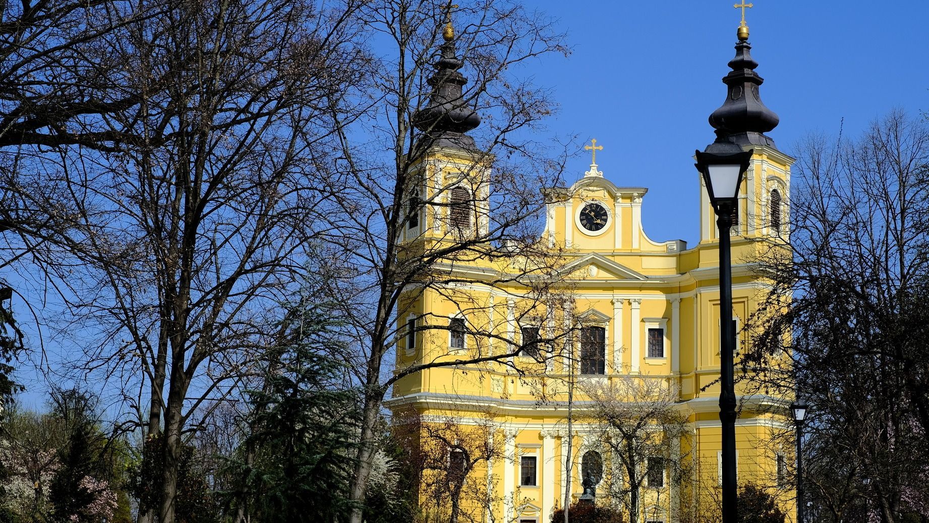 A betegek kenetének kiszolgáltatása