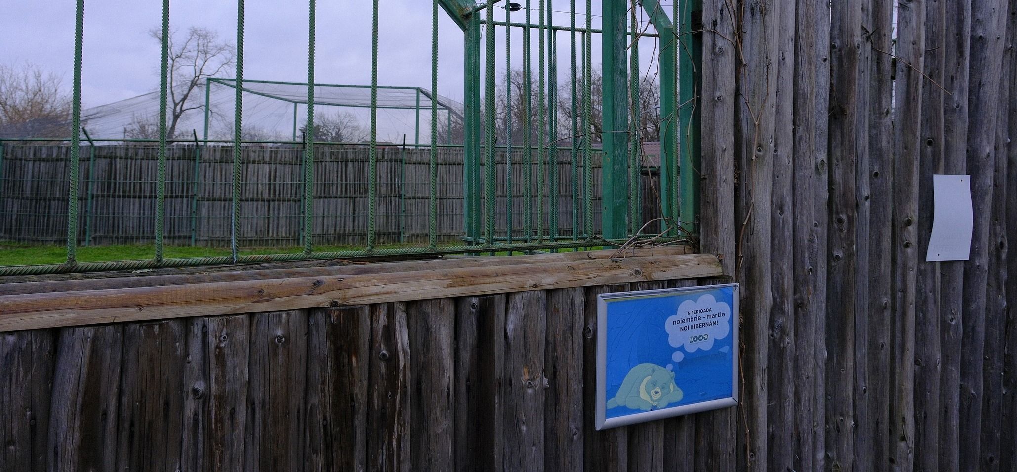 Folytatódik a téli álom: nem bújtak elő az állatkert medvéi