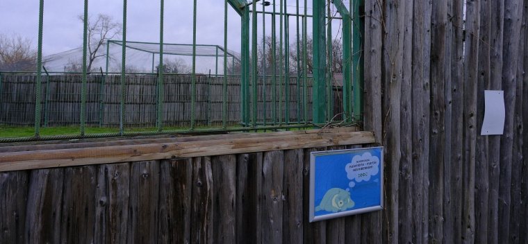 Folytatódik a téli álom: nem bújtak elő az állatkert medvéi