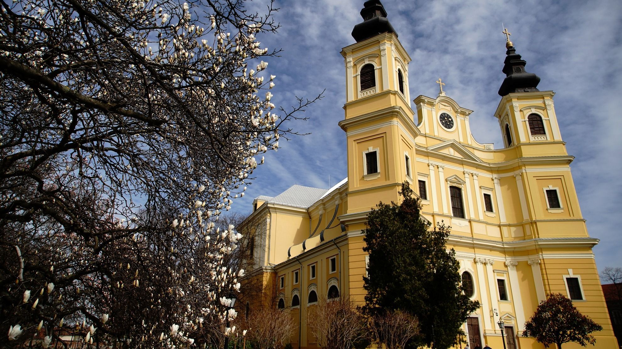 A nagyváradi római katolikus székesegyház istentiszteleti rendje