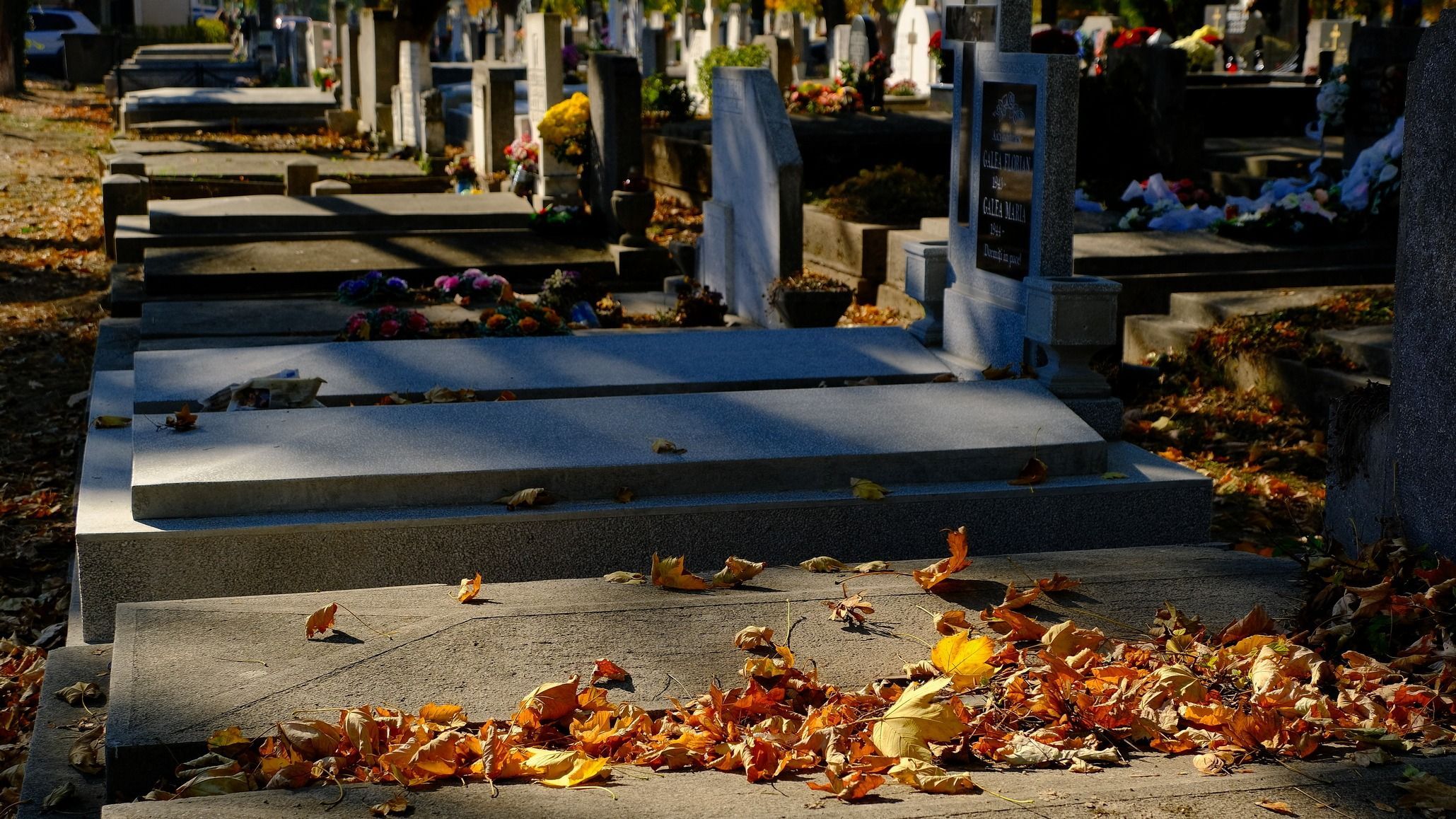 Ingyenes használatba kapták a katolikusok a püspöki temetőt