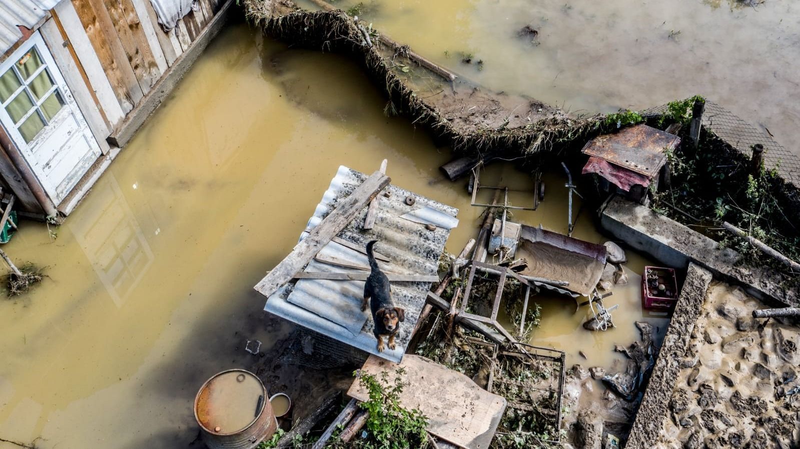 Természeti katasztrófák témájú versenyen nyert díjat Ovi D. Pop