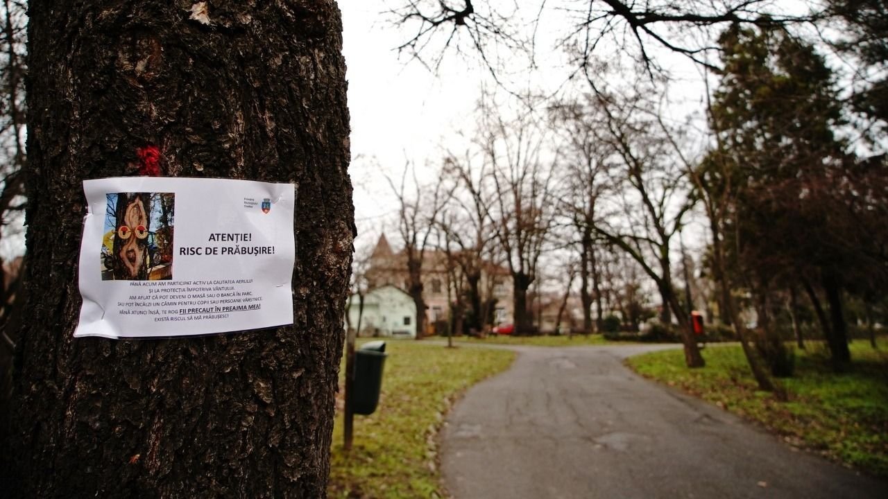 Parklátogatás csak saját felelősségre!